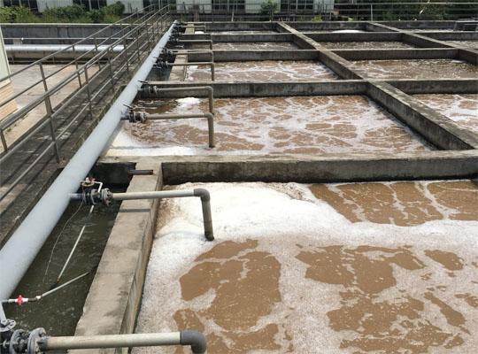 廈門旺玖祺實(shí)業(yè)有限公司食品廢水處理